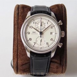샤프하우젠 IWC
