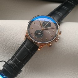 샤프하우젠 IWC