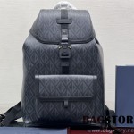 디올 DIOR 백팩