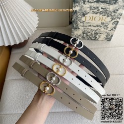 디올 2.0 벨트