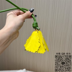 로에베 백참  키링